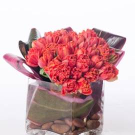 Dozen Red Roses w/ Casablanca Lilies - image PeonyTulipPerfection-270x270 on https://www.riveroaksplanthouse.com