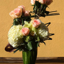 Ravishing Roses - image RAVISHING-ROSES-270x270 on https://www.riveroaksplanthouse.com