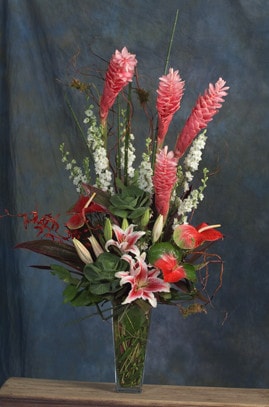 Deeply Lovely - image TraditionalTropical on https://www.riveroaksplanthouse.com