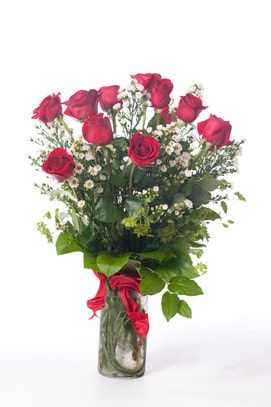 Dozen Red Roses - image LongStemEcuadorianDozenRoses on https://www.riveroaksplanthouse.com