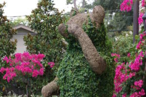 topiary bear