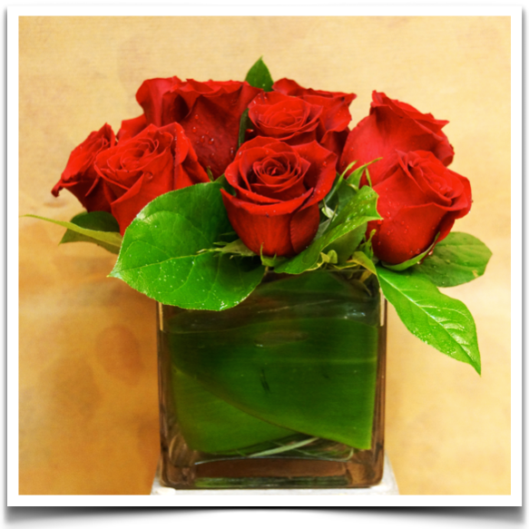 Traditional Dozen Roses - image red-roses-dozen-product-shot-w-frame-against-white on https://www.riveroaksplanthouse.com