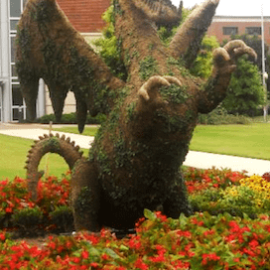 Bear Topiary - image Dragon-11.17-270x270 on https://www.riveroaksplanthouse.com