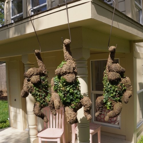 Hanging Monkey Topiaries