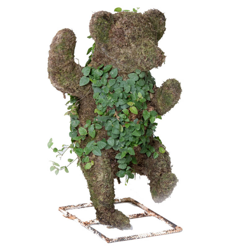 Bear Topiary Houston