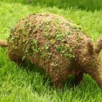Hippopotamus Topiary - image Armadillo-Topiary on https://www.riveroaksplanthouse.com