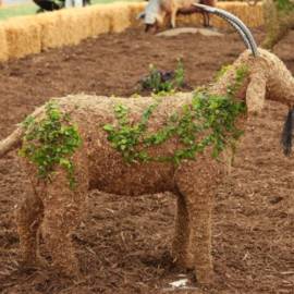 Camel Topiary - image GoatTopiary-270x270 on https://www.riveroaksplanthouse.com
