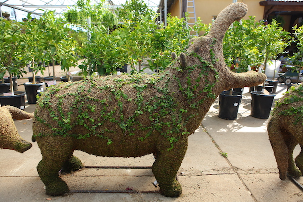 Hippopotamus Topiary - image HIPPO on https://www.riveroaksplanthouse.com