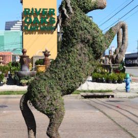 Goat Topiary - image HORSE-270x270 on https://www.riveroaksplanthouse.com
