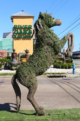 Horse Topiary - image HORSE on https://www.riveroaksplanthouse.com