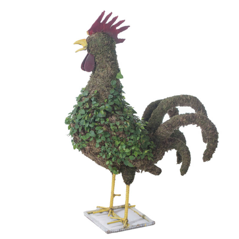 Rooster Topiary Houston