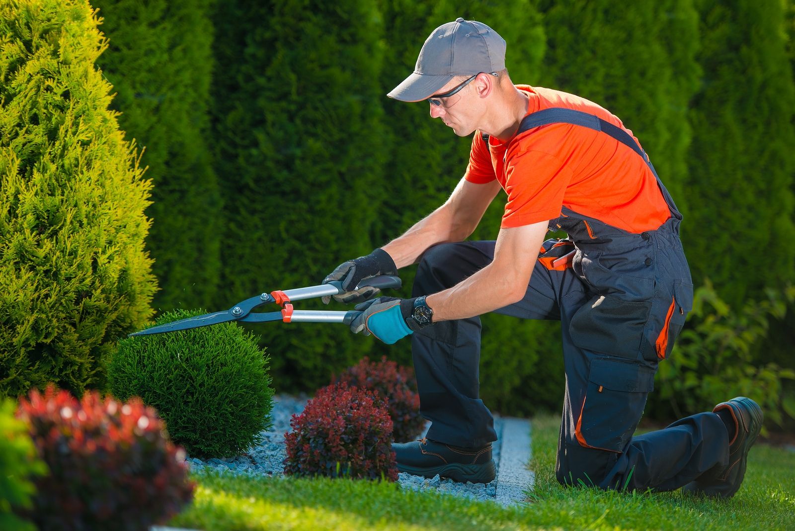 Gardening and landscaping services