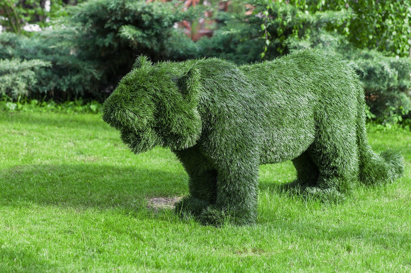 The Right Topiary for Your Landscaping Will Depend on these Factors