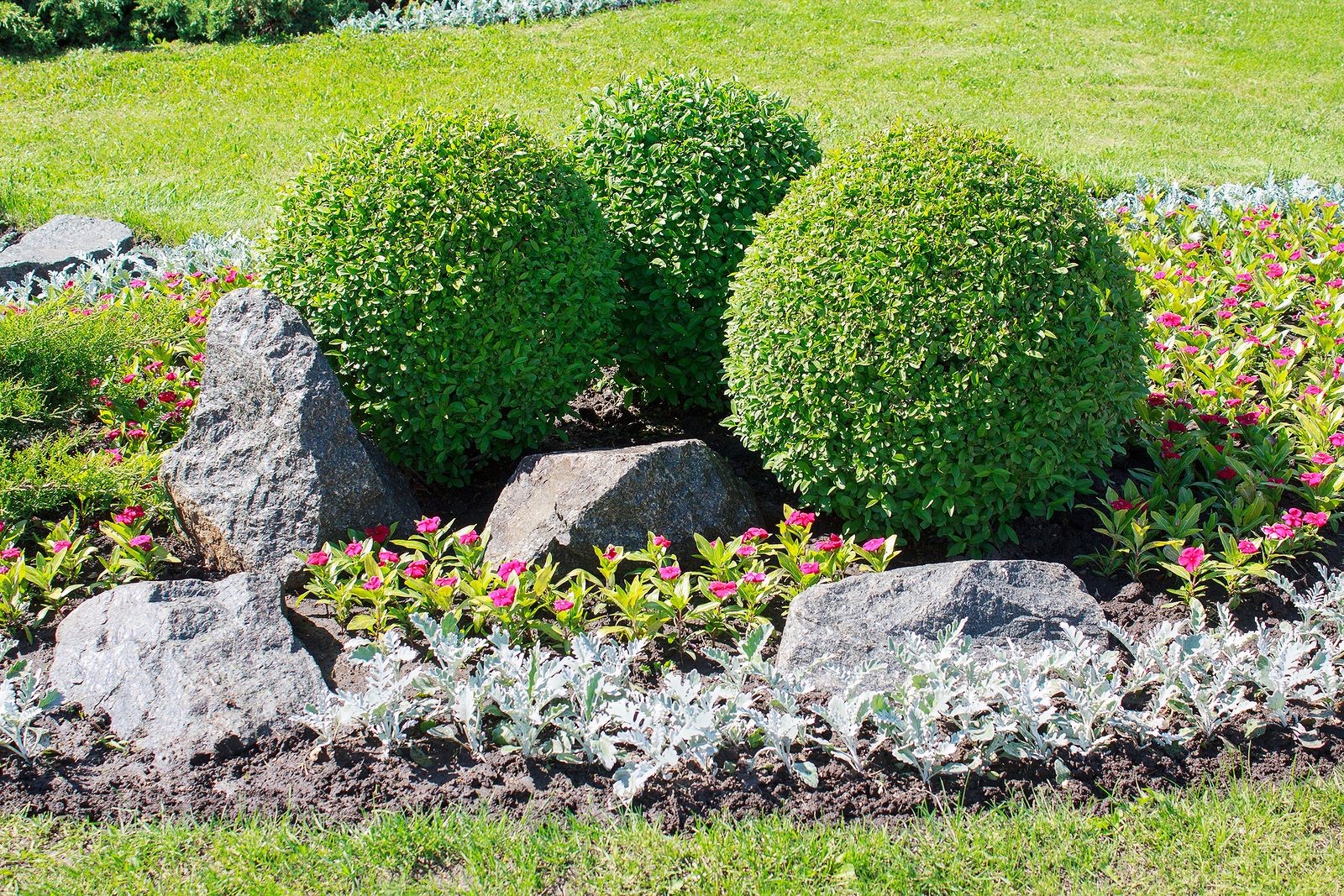 Useful Steps to Follow When Building a Topiary Garden in Your Backyard