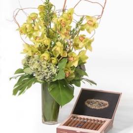 Feather and Fleurs With A Box of Robusto 20s - image Cymbidium-Delight-And-A-Box-of-Presidente-Cigars-1-270x270 on https://www.riveroaksplanthouse.com