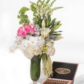 Double Stem Orchid And A Leather Case with Cigars - image Pink-Alps-And-A-Box-of-Of-Presidente-Cigars-Revised-270x270 on https://www.riveroaksplanthouse.com