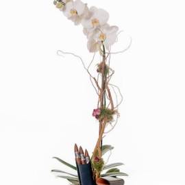 Squirrel Topiary - image Single-White-Orchid-And-A-Leather-Case-with-Cigars-Revised-270x270 on https://www.riveroaksplanthouse.com