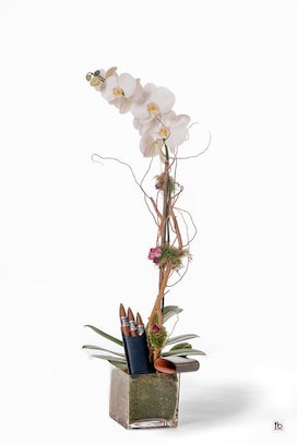 Single White Orchid And A Leather Case with Cigars - image Single-White-Orchid-And-A-Leather-Case-with-Cigars-Revised on https://www.riveroaksplanthouse.com