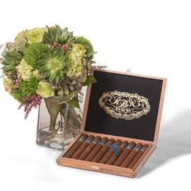 Cymbidium Delight And A Box of Presidente Cigars - image Sweet-Succulents-And-A-Box-of-10s-Churchill-270x270 on https://www.riveroaksplanthouse.com