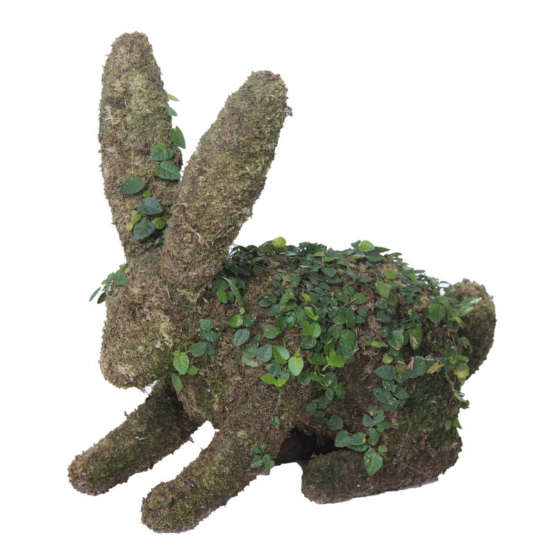 Rabbit topiary houston