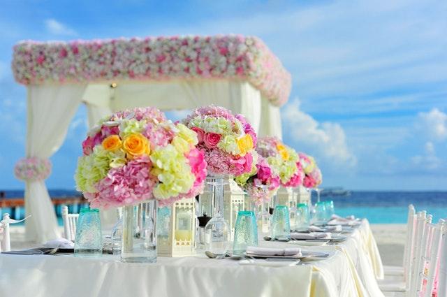 Wedding Florist Lists Down Most Popular Flowers for Summer Weddings - image img4-1 on https://www.riveroaksplanthouse.com