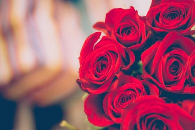 red roses for a special someone