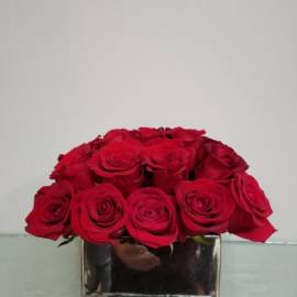 Roses For Karen - image IMG_1322-270x270 on https://www.riveroaksplanthouse.com