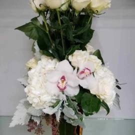 Roses For Karen - image IMG_1328-270x270 on https://www.riveroaksplanthouse.com
