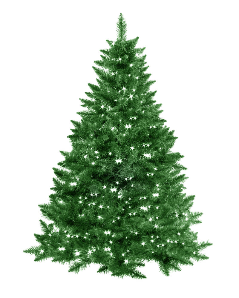 Pre-Lit Fresh Christmas Tree - image Christmas-Tree-Pre-lit-800x998 on https://www.riveroaksplanthouse.com