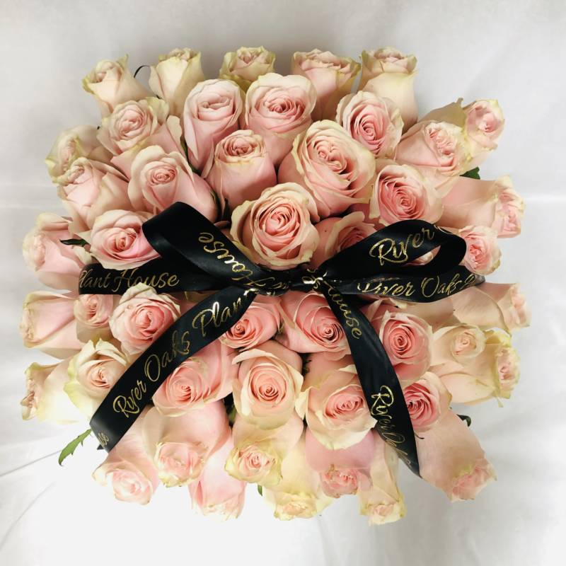 Roses For Karen - image IMG_5523-800x800 on https://www.riveroaksplanthouse.com