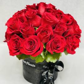 Kiana's Red Velvet - image Splendor-of-Roses_200-270x270 on https://www.riveroaksplanthouse.com