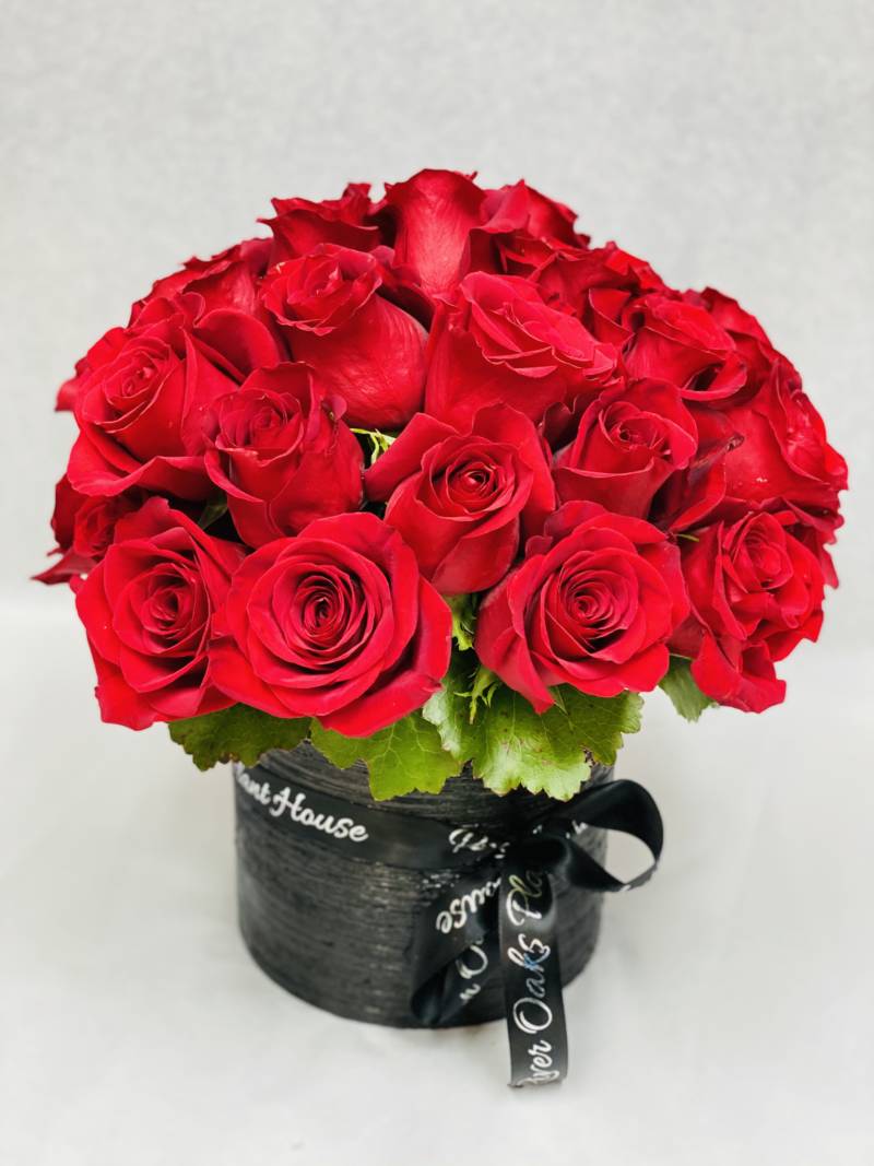 Splendor of Roses - image Splendor-of-Roses_200-800x1067 on https://www.riveroaksplanthouse.com