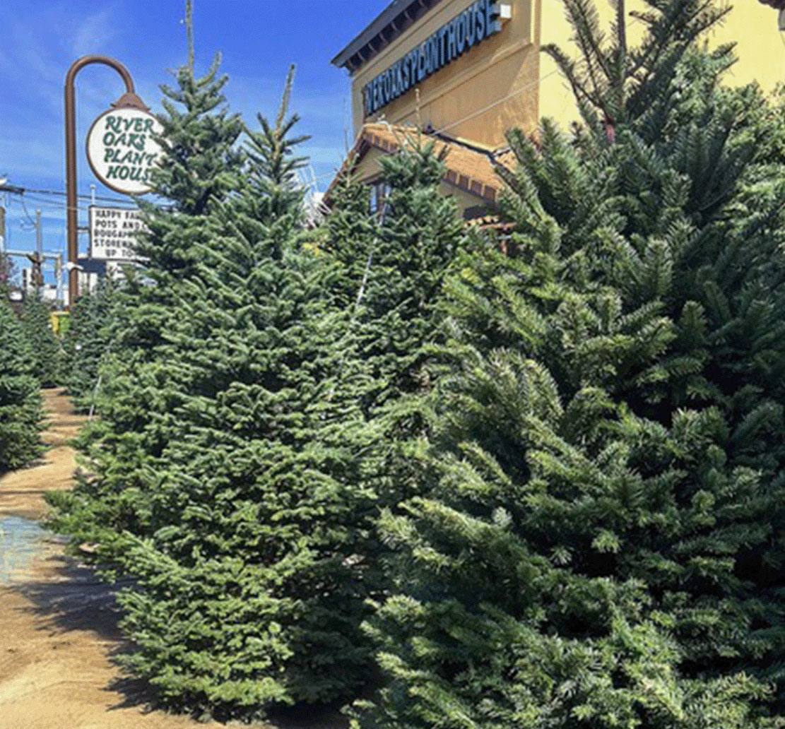 ROPH-HolidayDecor-Mock-Up-2025-Image-2